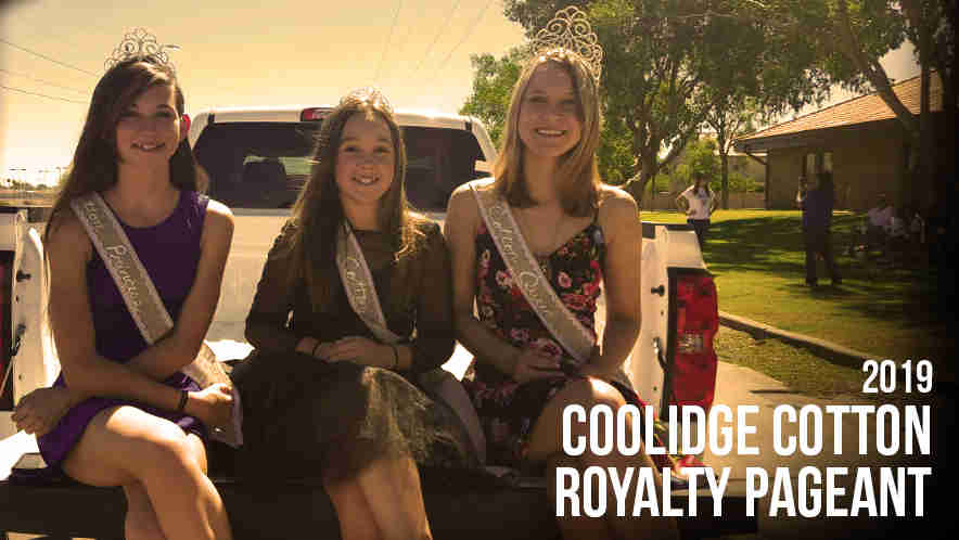 Coolidge Cotton Royalty